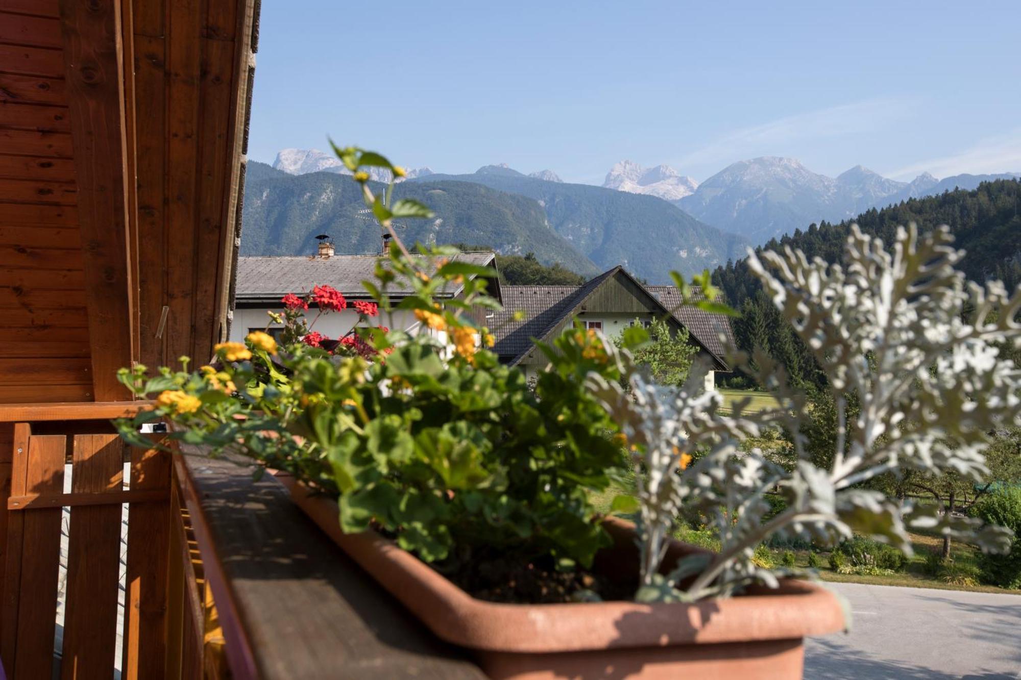 Art Hotel Kristal Bohinj Zewnętrze zdjęcie